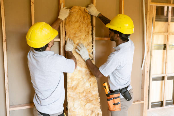 Best Eco-Friendly or Green Insulation Solutions  in Thunderbolt, GA